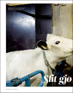 dagbladet_magasinet-20150110_000_00_00_050.pdf