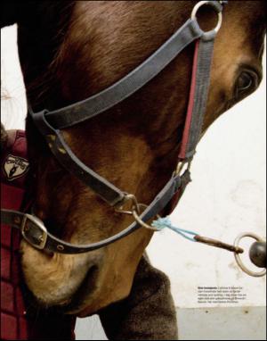 dagbladet_magasinet-20150228_000_00_00_031.pdf