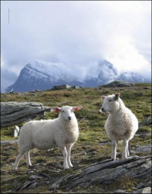 dagbladet_magasinet-20150502_000_00_00_008.pdf