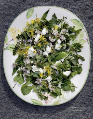 dagbladet_magasinet-20150509_000_00_00_067.pdf