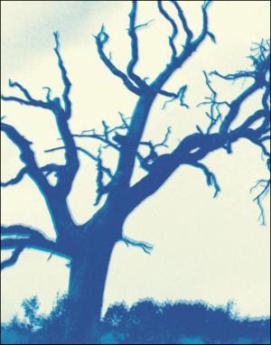 dagbladet_magasinet-20150711_000_00_00_044.pdf