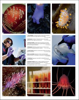 dagbladet_magasinet-20151114_000_00_00_029.pdf