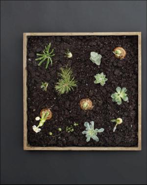 dagbladet_magasinet-20160402_000_00_00_006.pdf