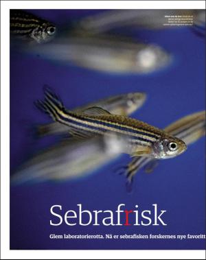 dagbladet_magasinet-20160514_000_00_00_024.pdf