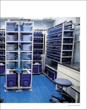 dagbladet_magasinet-20160514_000_00_00_027.pdf