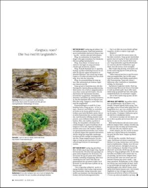 dagbladet_magasinet-20160618_000_00_00_026.pdf