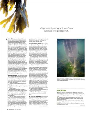 dagbladet_magasinet-20160618_000_00_00_028.pdf