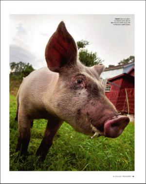 dagbladet_magasinet-20160716_000_00_00_049.pdf