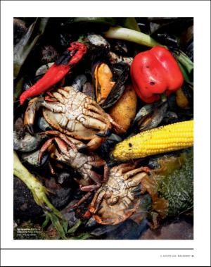 dagbladet_magasinet-20160806_000_00_00_051.pdf