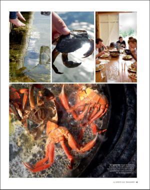 dagbladet_magasinet-20160813_000_00_00_049.pdf