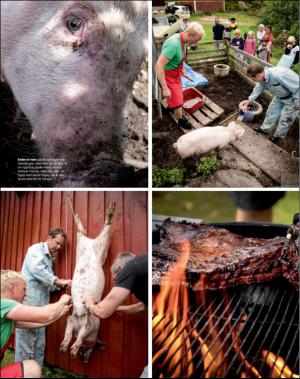 dagbladet_magasinet-20160820_000_00_00_053.pdf