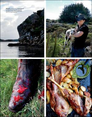 dagbladet_magasinet-20160917_000_00_00_047.pdf