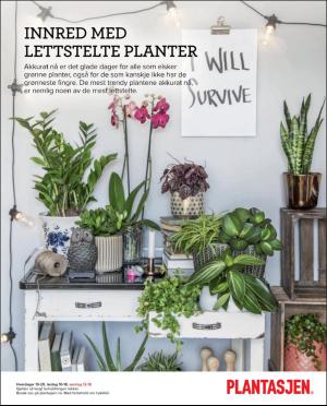 dagbladet_magasinet-20160917_000_00_00_052.pdf