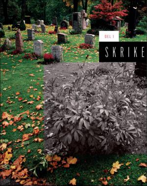 dagbladet_magasinet-20161015_000_00_00_018.pdf