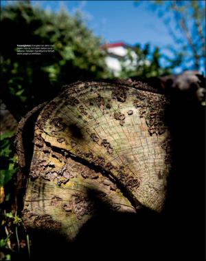 dagbladet_magasinet-20161029_000_00_00_018.pdf