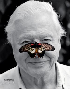 dagbladet_magasinet-20161029_000_00_00_061.pdf