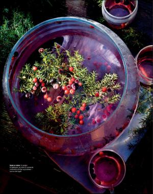 dagbladet_magasinet-20161126_000_00_00_061.pdf