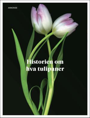 dagbladet_magasinet-20170211_000_00_00_008.pdf