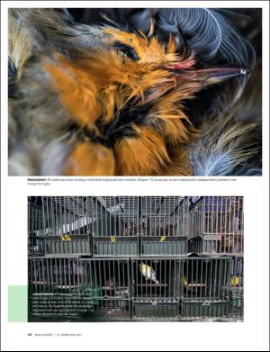dagbladet_magasinet-20170218_000_00_00_040.pdf