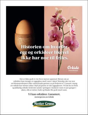 dagbladet_magasinet-20170225_000_00_00_030.pdf