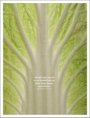 dagbladet_magasinet-20170422_000_00_00_020.pdf