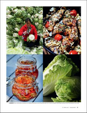 dagbladet_magasinet-20170422_000_00_00_023.pdf