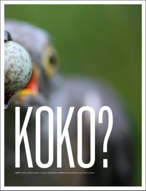 dagbladet_magasinet-20170429_000_00_00_049.pdf