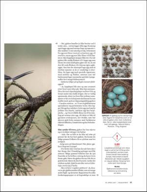 dagbladet_magasinet-20170429_000_00_00_053.pdf