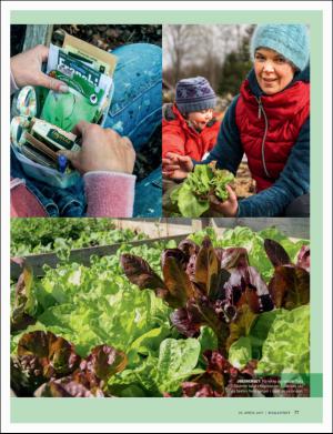 dagbladet_magasinet-20170429_000_00_00_077.pdf