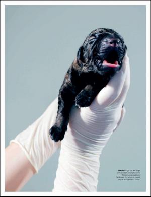 dagbladet_magasinet-20170527_000_00_00_052.pdf