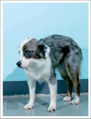 dagbladet_magasinet-20170527_000_00_00_055.pdf