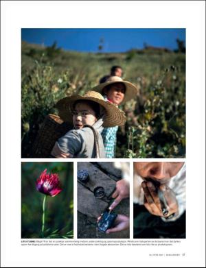 dagbladet_magasinet-20170610_000_00_00_017.pdf