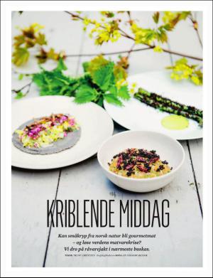 dagbladet_magasinet-20170617_000_00_00_036.pdf