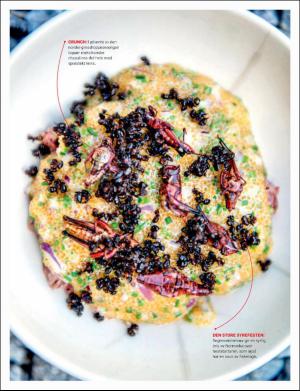 dagbladet_magasinet-20170617_000_00_00_040.pdf