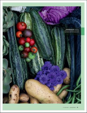 dagbladet_magasinet-20170617_000_00_00_055.pdf