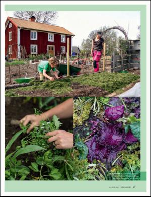 dagbladet_magasinet-20170624_000_00_00_069.pdf