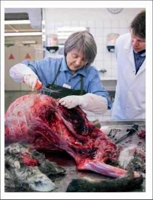 dagbladet_magasinet-20170701_000_00_00_013.pdf