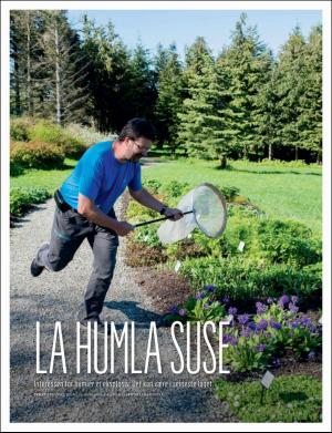 dagbladet_magasinet-20170708_000_00_00_040.pdf