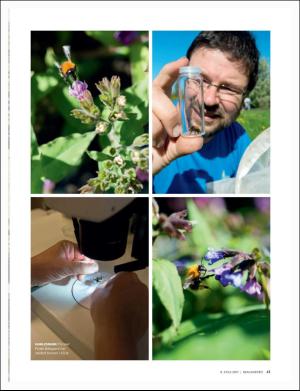 dagbladet_magasinet-20170708_000_00_00_041.pdf