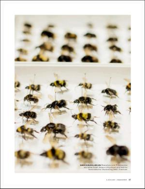 dagbladet_magasinet-20170708_000_00_00_043.pdf