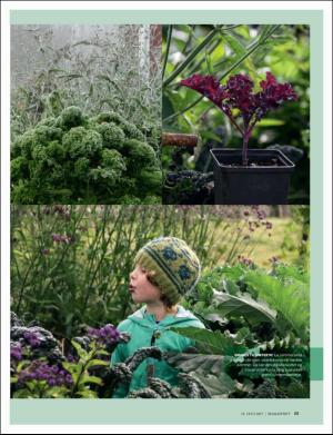 dagbladet_magasinet-20170715_000_00_00_055.pdf