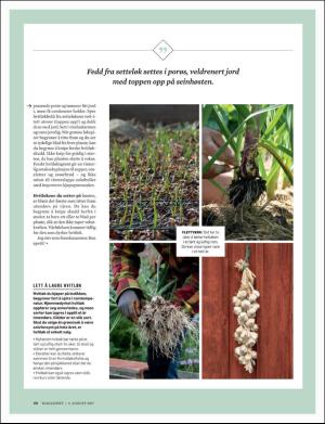 dagbladet_magasinet-20170805_000_00_00_046.pdf