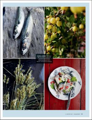 dagbladet_magasinet-20170805_000_00_00_053.pdf