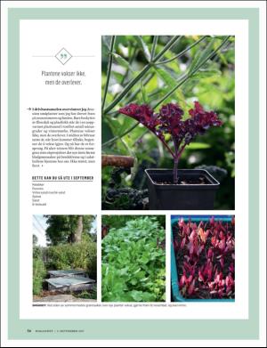 dagbladet_magasinet-20170902_000_00_00_056.pdf