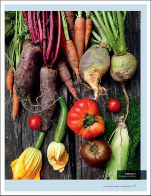 dagbladet_magasinet-20170916_000_00_00_057.pdf