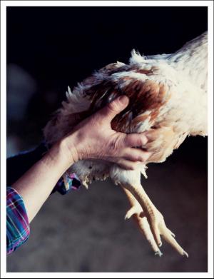 dagbladet_magasinet-20170930_000_00_00_100.pdf