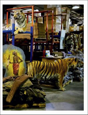 dagbladet_magasinet-20171104_000_00_00_041.pdf