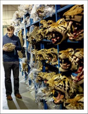 dagbladet_magasinet-20171104_000_00_00_043.pdf