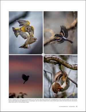 dagbladet_magasinet-20171125_000_00_00_027.pdf