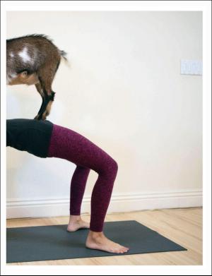 dagbladet_magasinet-20171202_000_00_00_043.pdf